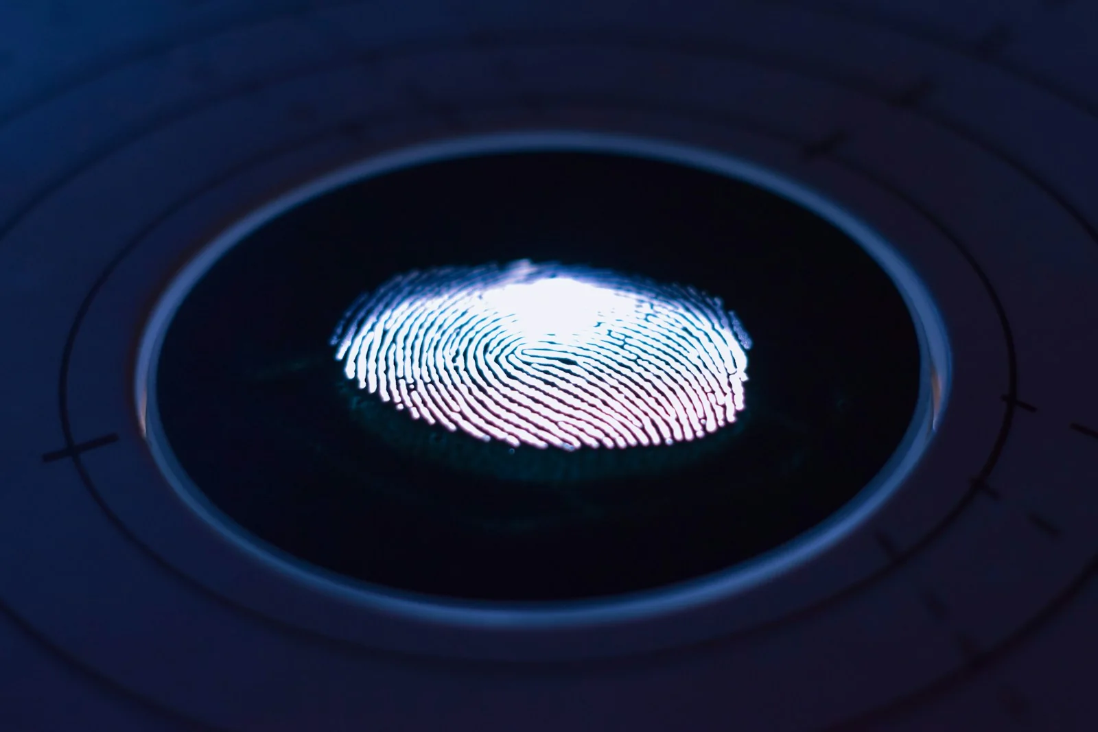Fingerprint being captured by a digital identity scanner